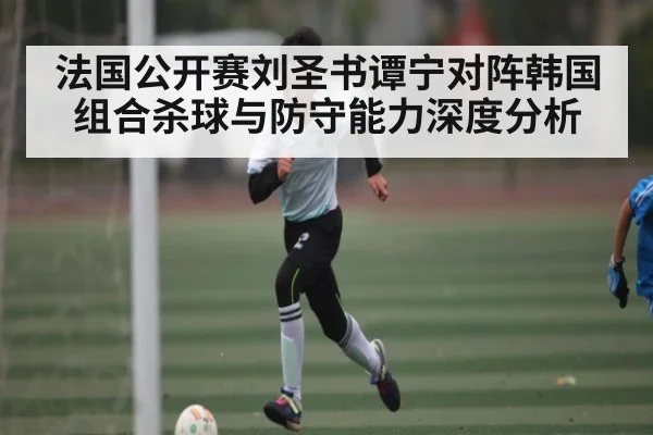 法国公开赛刘圣书谭宁对阵韩国组合杀球与防守能力深度分析